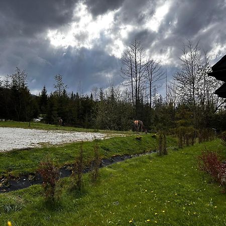 Apartamenty Willa Nika Zakopane Zewnętrze zdjęcie