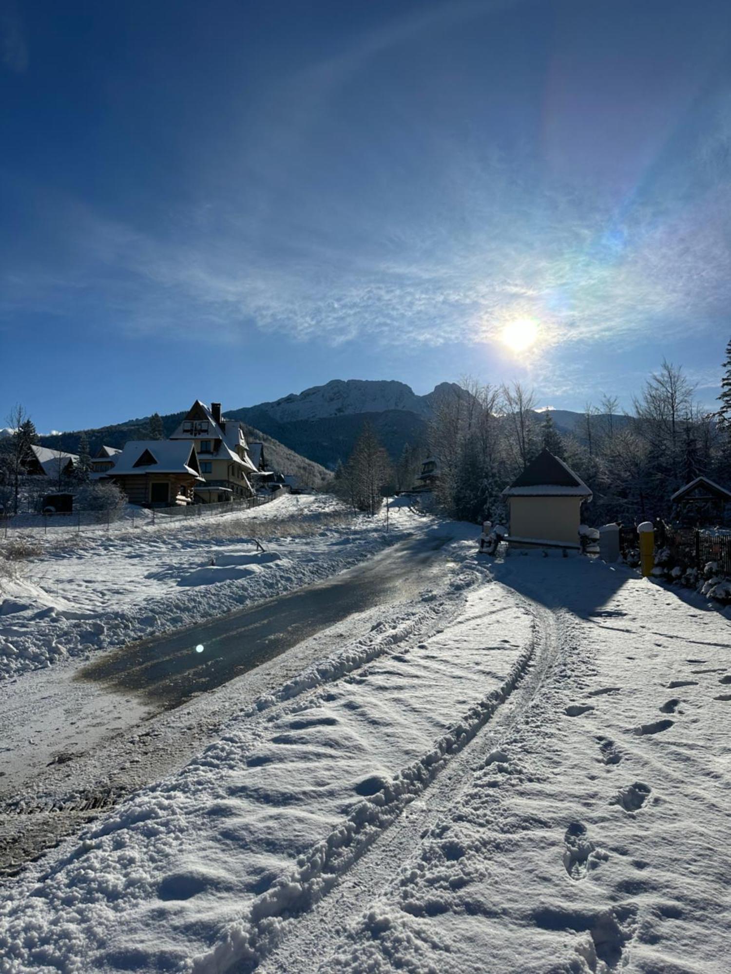 Apartamenty Willa Nika Zakopane Zewnętrze zdjęcie